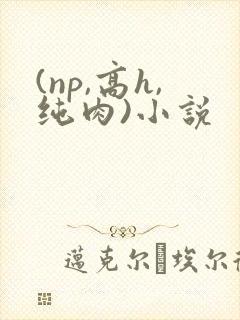 (np,高h,纯肉)小说