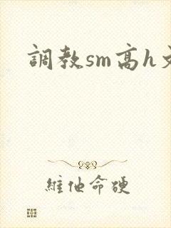 调教sm高h文