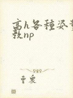 高h各种姿势调教np
