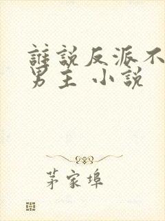 谁说反派不能当男主 小说