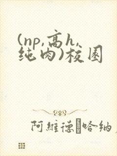 (np,高h,纯肉)校园