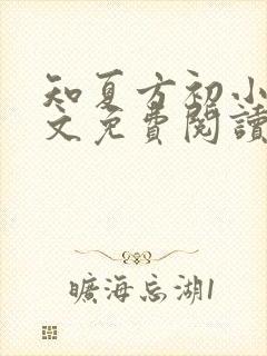 知夏方初小说全文免费阅读最新章节封面