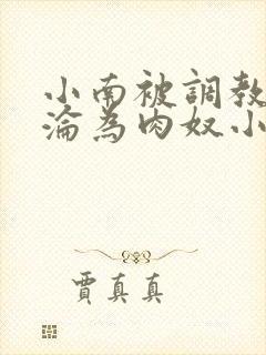 小南被调教喷水沦为肉奴小说