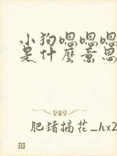 小狗嗯嗯嗯的叫是什么意思