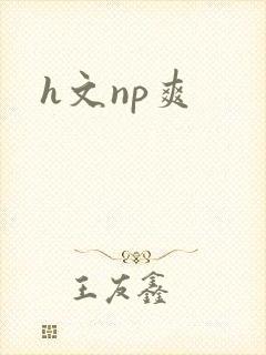 h文np爽