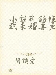 小说我的绝色总裁未婚妻免费阅读