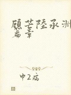 顾芒陆承洲最新篇章