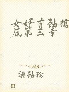 女婿有劲枪枪到底第三章