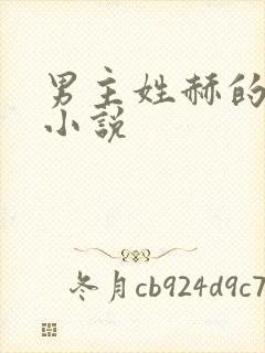 男主姓赫的总裁小说