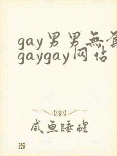 gay男男无套gaygay网站