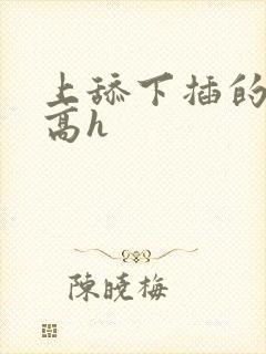 上舔下插的小说高h