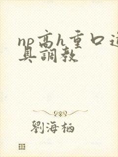 np高h重口道具调教封面