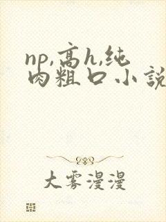 np,高h,纯肉粗口小说封面