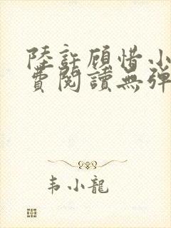 陆许顾惜小枫免费阅读无弹窗小说