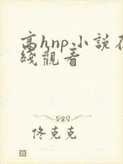 高hnp小说在线观看