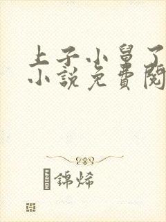 上子小舅了老婆小说免费阅读