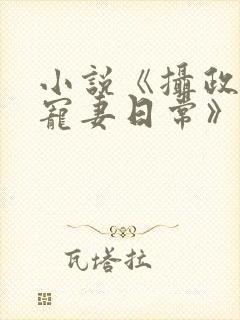 小说《摄政王的宠妻日常》