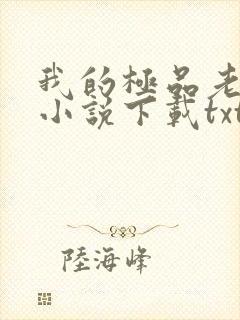 我的极品老婆 小说下载txt