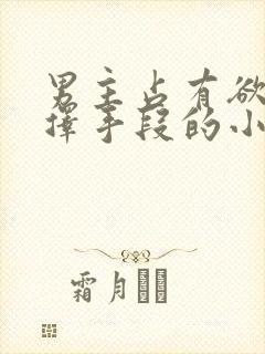 男主占有欲强不择手段的小说