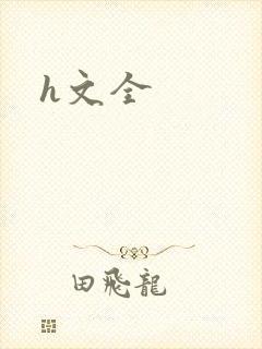 h文全