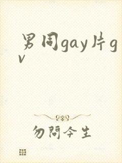男同gay片gv