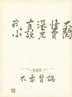 我有深情不可言小说免费阅读