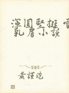 浑圆坚挺 雪白 乳房小说