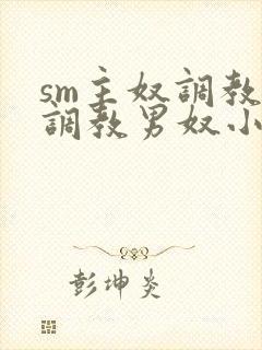 sm主奴调教:调教男奴小说封面