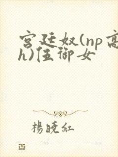 宫廷奴(np高h)伍御女