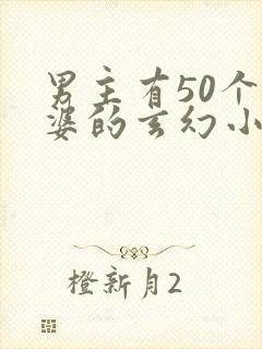 男主有50个老婆的玄幻小说封面