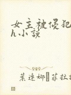 女主被侵犯的高h小说