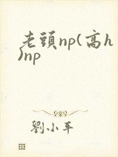 老头np(高h)np
