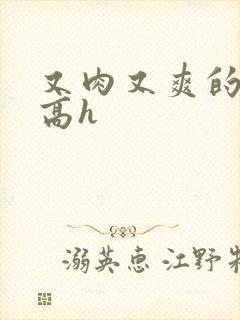 又肉又爽的小说高h封面