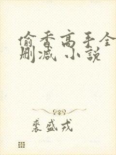 偷香高手全文无删减 小说