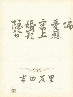 隐婚密爱偏执老公宠上瘾