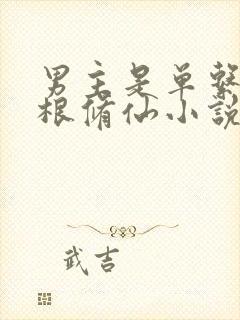 男主是单系木灵根修仙小说