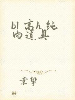 bl 高h 纯肉道具封面