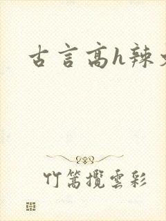 古言高h辣文封面