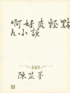 啊好爽轻点啊嗯h小说封面