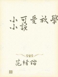 小可爱放学别走小说