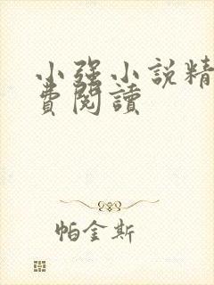 小强小说精品免费阅读