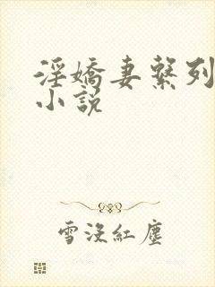 淫娇妻系列多人小说