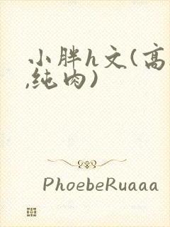 小胖h文(高h,纯肉)