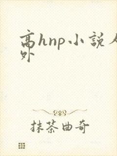 高hnp小说人外