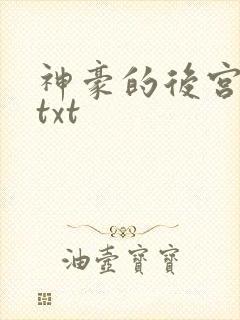 神豪的后宫日常txt