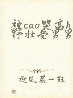 被cao哭高h野壮受男男视频