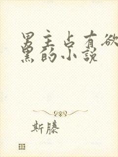 男主占有欲强腹黑的小说封面