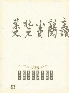 叶北小说主角全文免费阅读封面