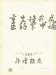 重生后我成了权臣的掌中娇怎么样