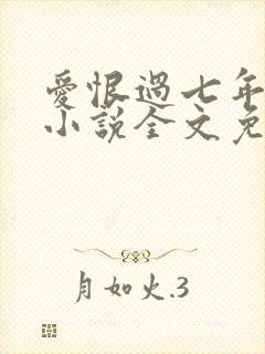 爱恨过七年原著小说全文免费阅读